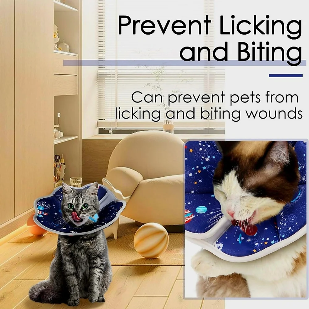 Cat Cone Soft Recovery Collar